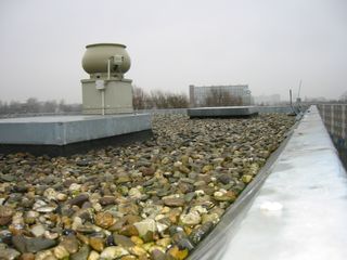 img 1396