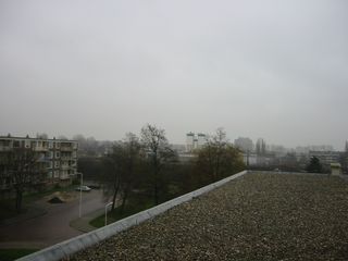 img 1405