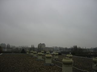 img 1406