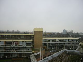 img 1410