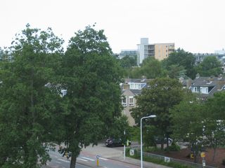 img 3137