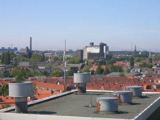 img 1390