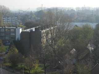 Roomburgh 44