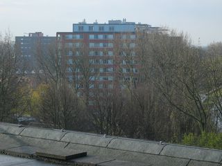Roomburgh 62
