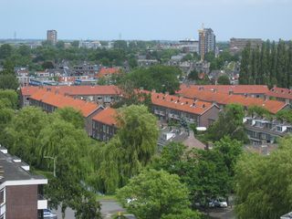 roomburgh 54