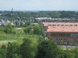 roomburgh 61