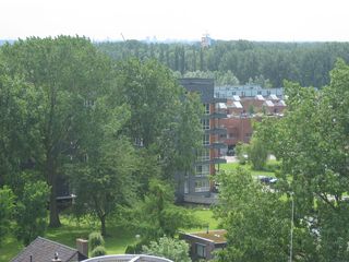 roomburgh 65