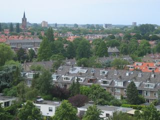 roomburgh 71