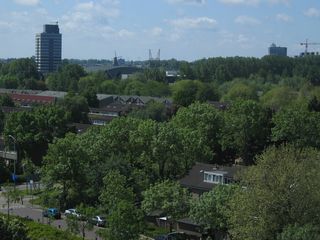 IMG 1048