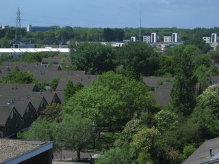 IMG 1051