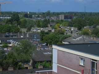 IMG 1054