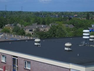 IMG 1055