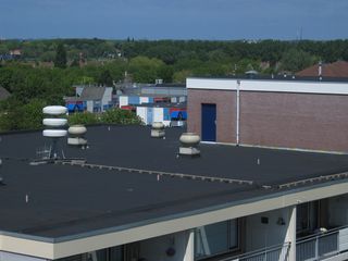 IMG 1056