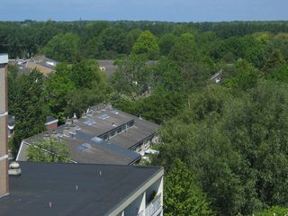 IMG 1058