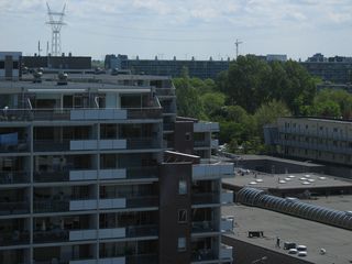 IMG 1068