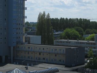 IMG 1070