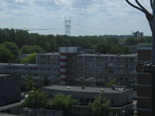 IMG 1071