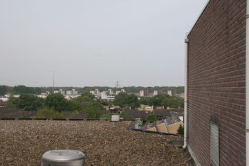 IMG 4509