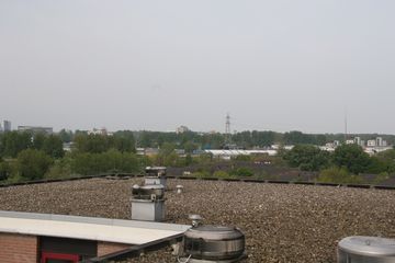 IMG 4510