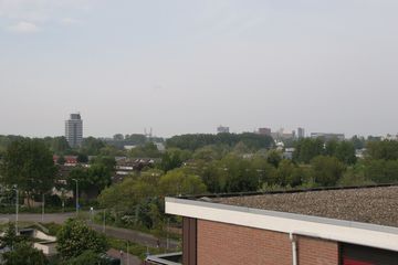 IMG 4511
