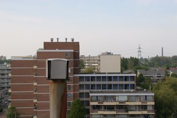 IMG 4513