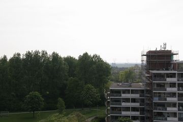 IMG 4517