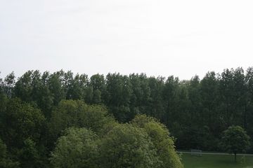 IMG 4518