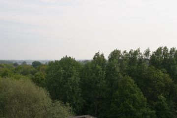 IMG 4519