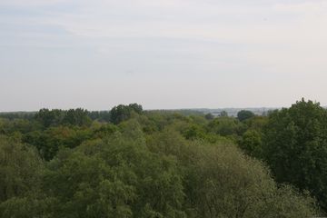 IMG 4520