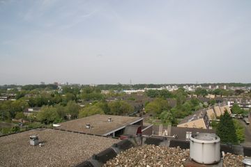 IMG 4542