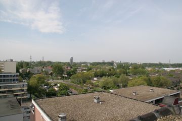 IMG 4543