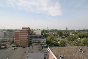 IMG 4544