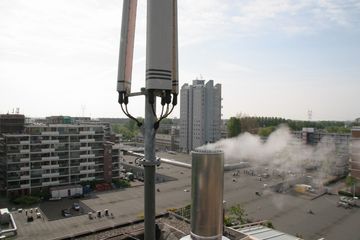 IMG 4546