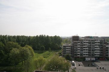 IMG 4548