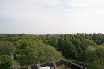 IMG 4550