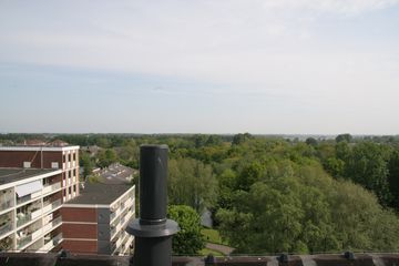 IMG 4551