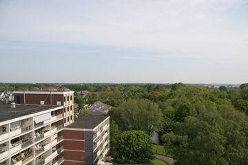 IMG 4552