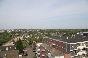 IMG 4554