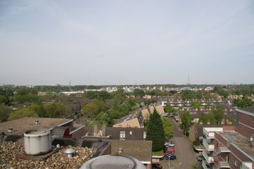 IMG 4555