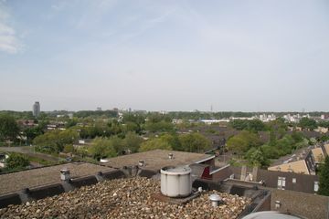 IMG 4556