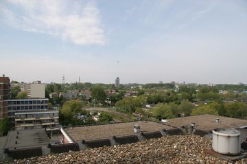 IMG 4557