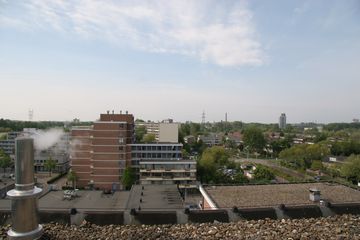 IMG 4558