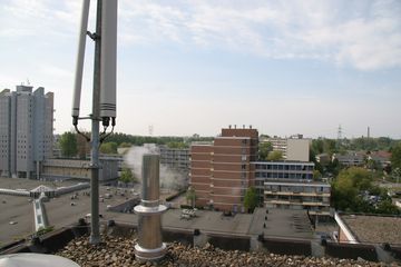 IMG 4559