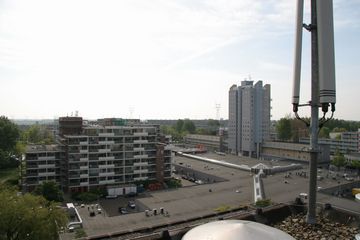 IMG 4561