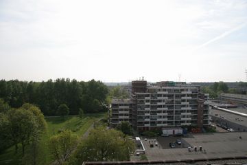 IMG 4562