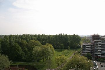 IMG 4563