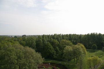 IMG 4564