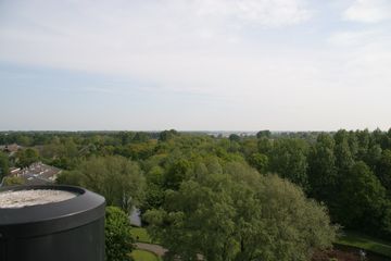 IMG 4565