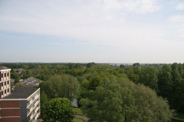 IMG 4566