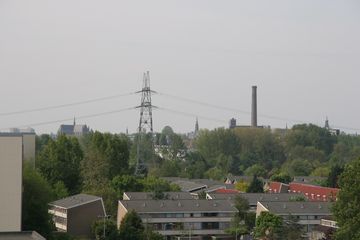 IMG 4568